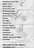Concert solo 2013 0210_vienne slash (3)